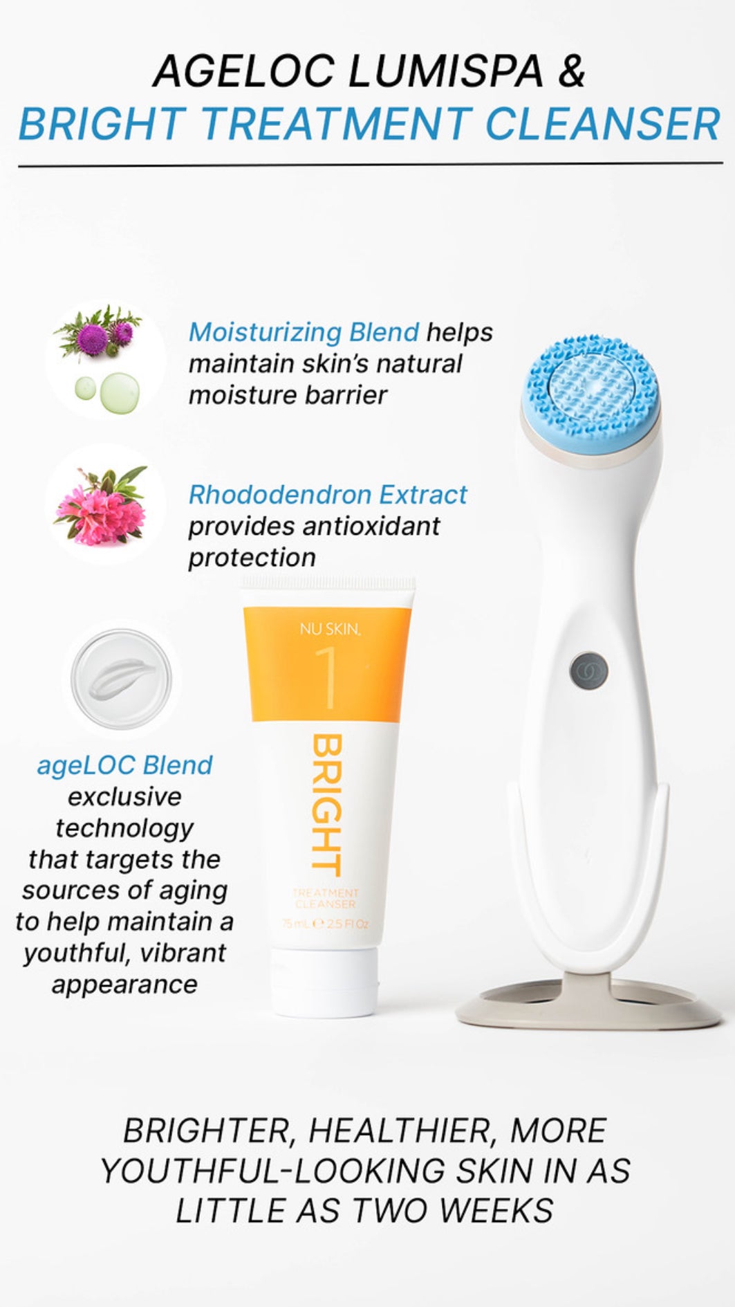 Bright Line Bundle